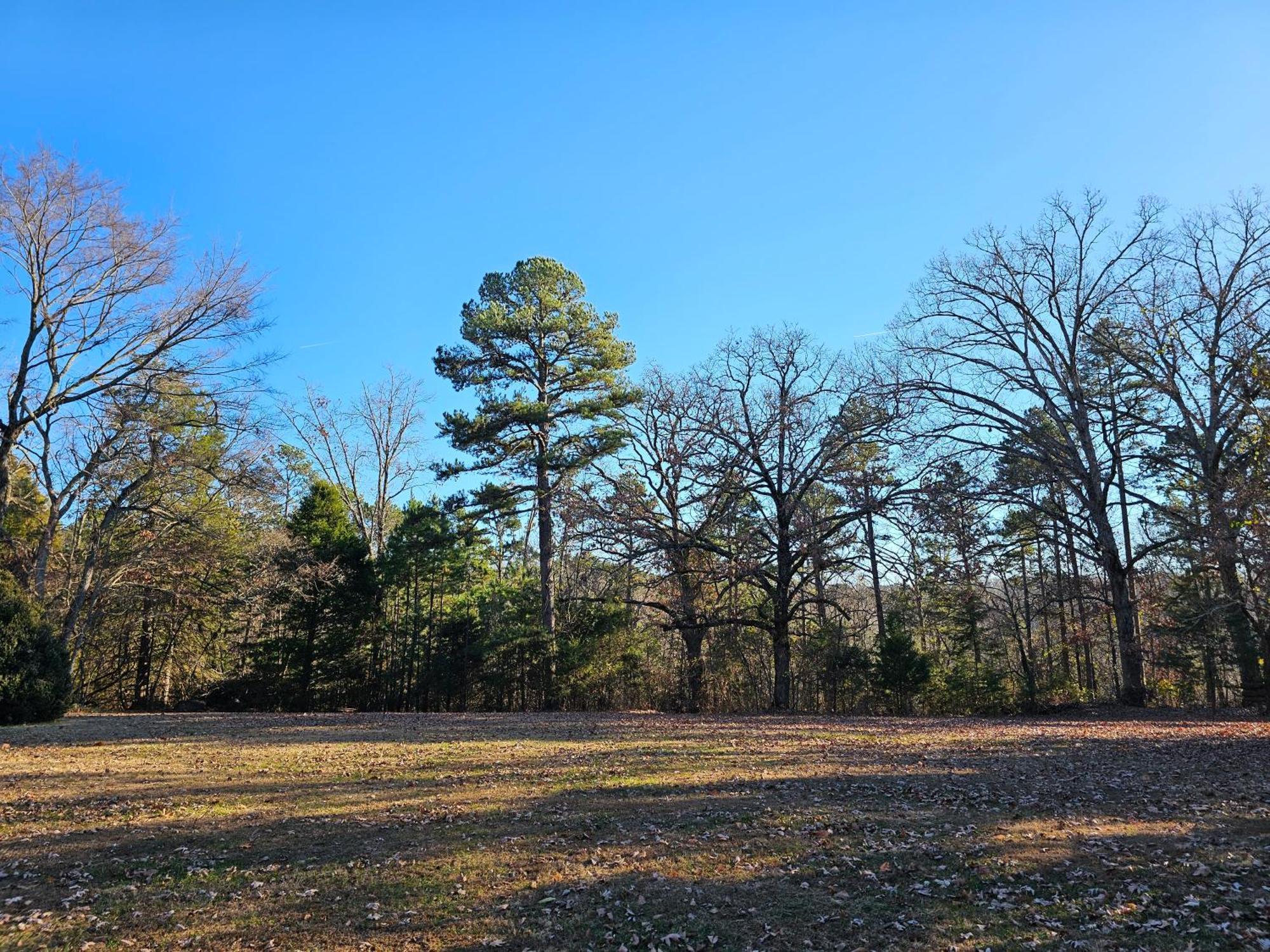 5 Min To Beaver Lake-King Bed-Fire Pit-Jetted Tub #1 Eureka Springs Exterior photo